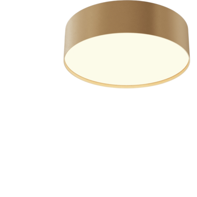 Потолочный светильник MAYTONI ZON C032CL-24W3K-RD-MG